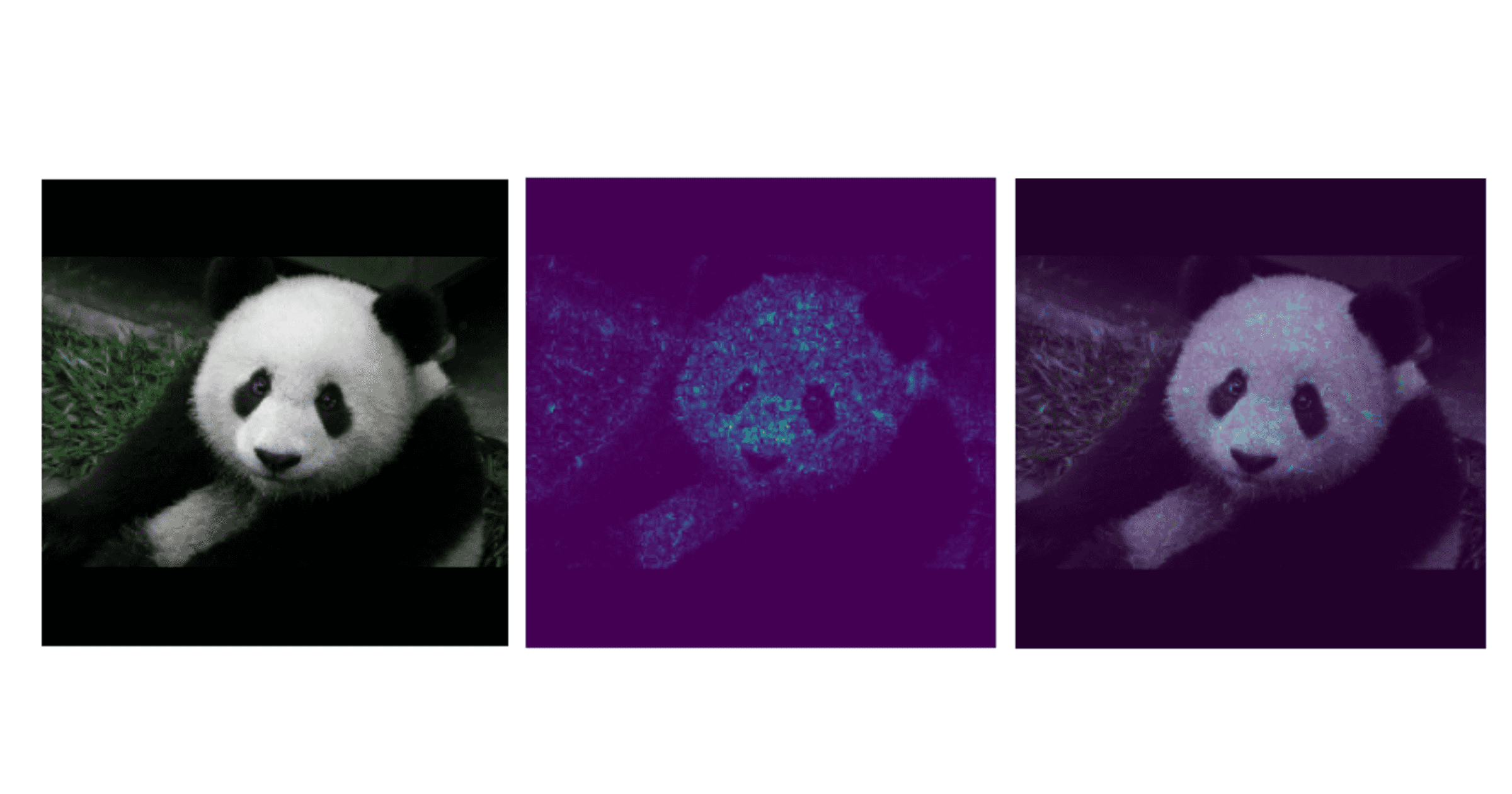 Panda, integrated gradient heatmap, and panda image with integrated gradient heatmap.